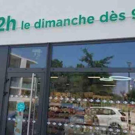 Toulouse Vaste Appartement Tres Lumineux Kültér fotó