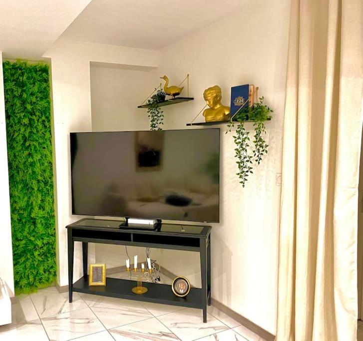 Toulouse Vaste Appartement Tres Lumineux Kültér fotó