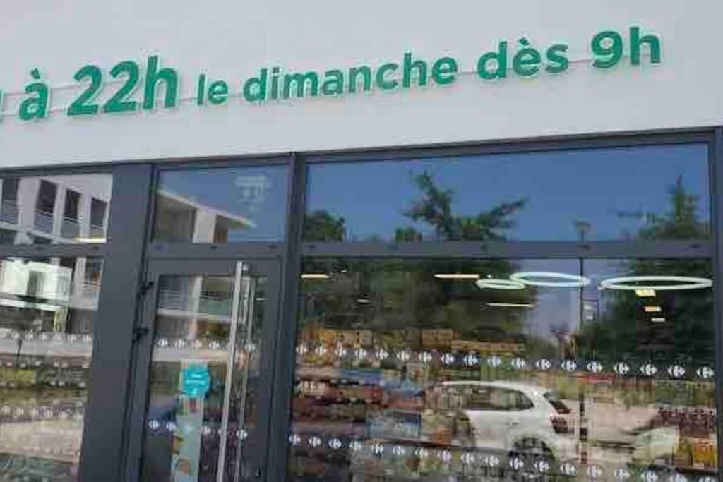 Toulouse Vaste Appartement Tres Lumineux Kültér fotó